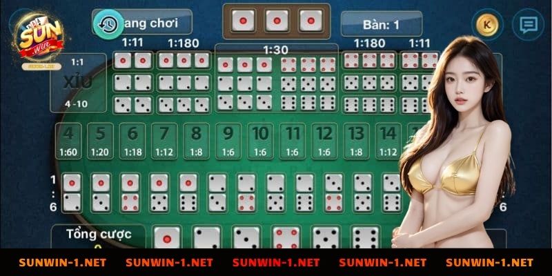 Hướng dẫn cách chơi hiệu quả cầu bệt tài xỉu là gì