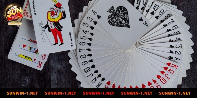 Sâm lốc là gì? Giải thích thông tin tường tận nhất