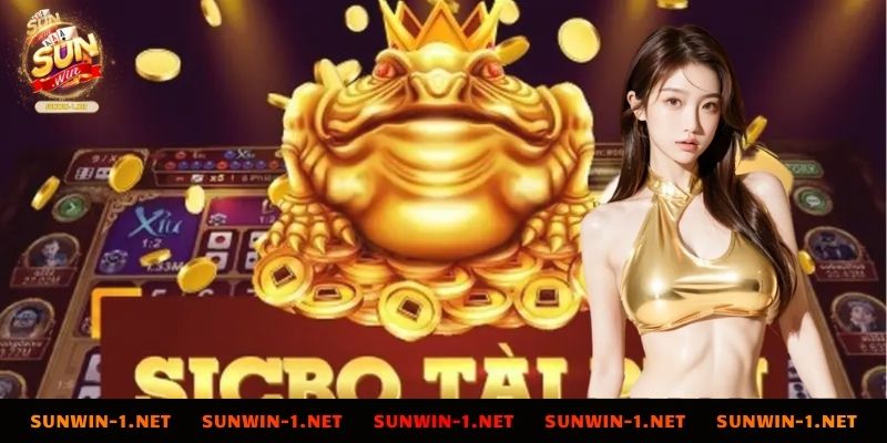 Giới thiệu toàn diện trò chơi Sicbo Tài Phú