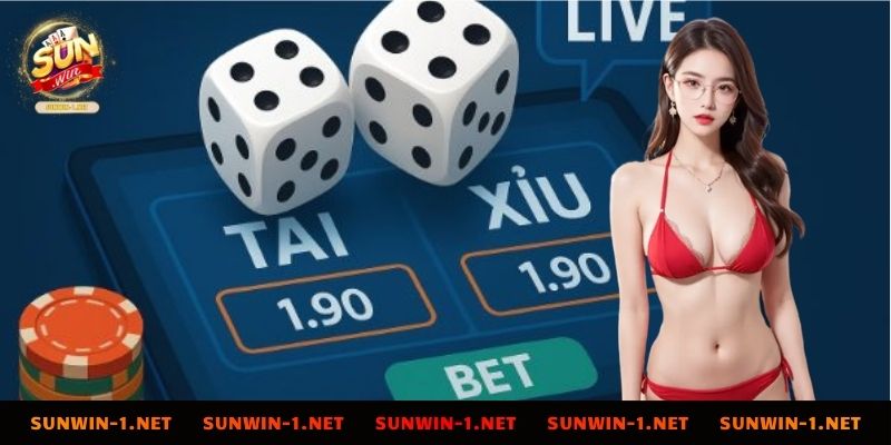 Hướng dẫn luật chơi chi tiết của game tài xỉu MD5